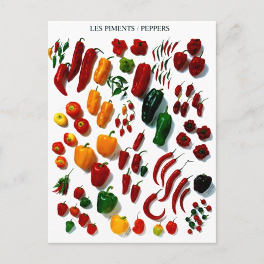 Carte Postale Poivrons (Devant)