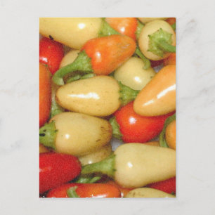 Carte Postale Poivrons chauds rouge jaune et orange