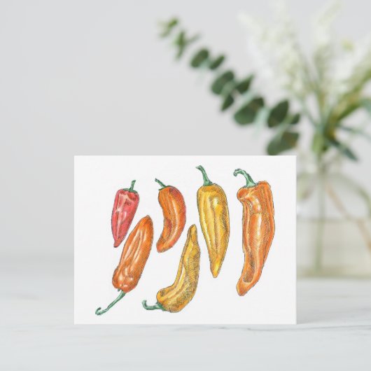 Carte Postale Poivrons doux (Debout devant)