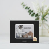 Carte Postale Poke. (Debout devant)