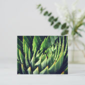 Carte Postale Pokey Succulent (Debout devant)