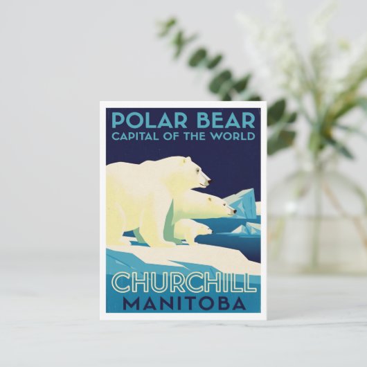Carte Postale Polar Bear Capital of the World Churchill Manitoba (Debout devant)