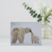 Carte Postale Polar Bear Mother with Cub (Debout devant)