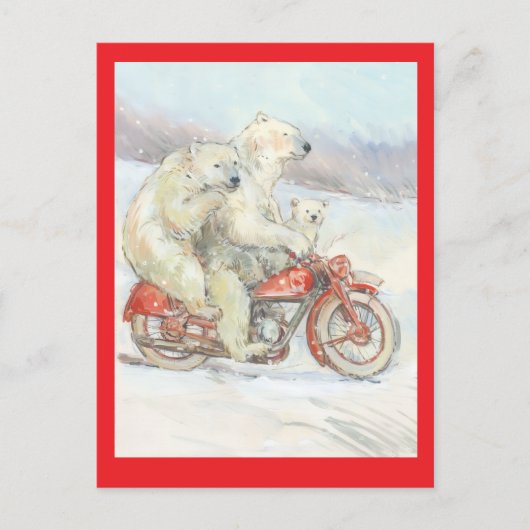 Carte Postale "Polar Bears" (Devant)