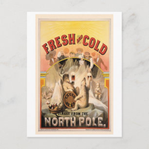Carte Postale Pôle Nord BIÈRE Ice FROID Publicité Vintage