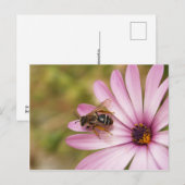 Carte Postale Polène (Devant / Derrière)