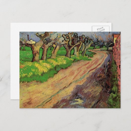 Carte Postale Pollard Willows par Vincent van Gogh (Devant / Derrière)