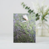 Carte postale - pollen et mousses (Debout devant)