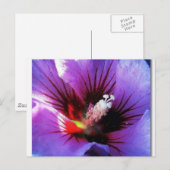 Carte Postale pollen revisité (Devant / Derrière)