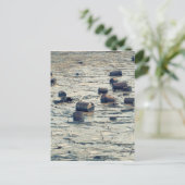 Carte Postale Pollution (Debout devant)