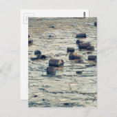 Carte Postale Pollution (Devant / Derrière)