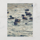 Carte Postale Pollution (Devant)