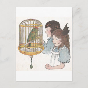 Carte Postale Polly le perroquet