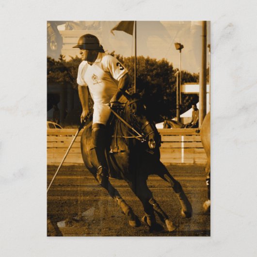 Carte postale Polo (Devant)