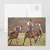 Carte postale Polo (Devant / Derrière)