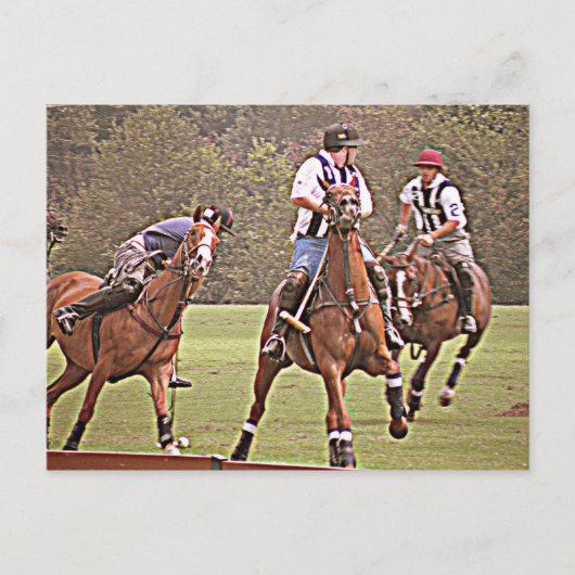 Carte postale Polo (Devant)