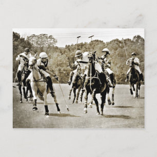 Carte Postale Polo Horses Galloping