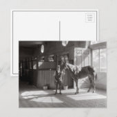 Carte Postale Polo Stables, 1933 (Devant / Derrière)