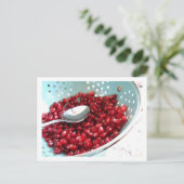 Carte Postale PomAqua (Debout devant)