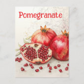 Carte Postale Pomegranate Postcard (Devant)