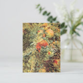 Carte Postale Pomegranates II par John Singer Sargent (Debout devant)