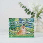 Carte Postale Pomeranian 3 - Pont (Debout devant)