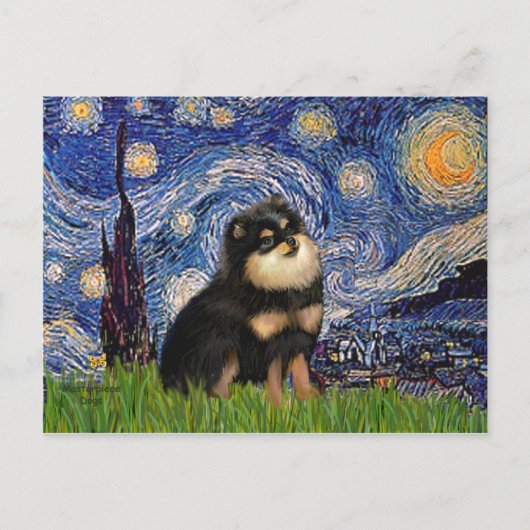 Carte Postale Pomeranian (BT) - Nuit étoilée (Devant)