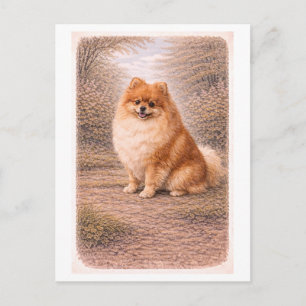 Carte Postale Pomeranian de style vintage