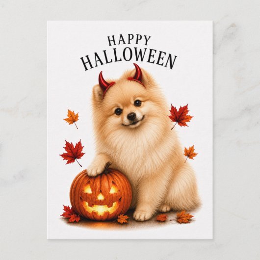 Carte Postale Pomeranian Halloween (Devant)