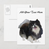 Carte Postale Pomeranian noir (Devant / Derrière)