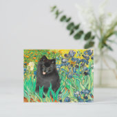 Carte Postale Pomeranian (noir) - Iris (Debout devant)