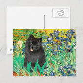 Carte Postale Pomeranian (noir) - Iris (Devant / Derrière)