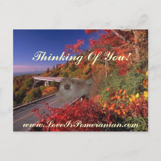 Carte Postale Pomeranian Nommé Zeus Colorful Scene Automne