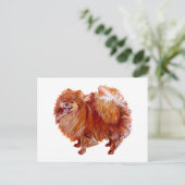 Carte Postale Pomeranian Rouge (Debout devant)