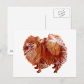 Carte Postale Pomeranian Rouge (Devant / Derrière)