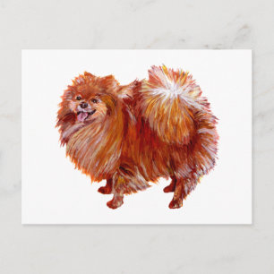 Carte Postale Pomeranian Rouge