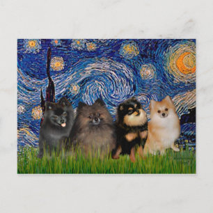 Carte Postale Pomeranians (quatre) - Nuit étoilée