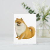 Carte postale Poméranie (Debout devant)