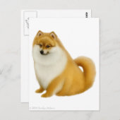 Carte postale Poméranie (Devant / Derrière)