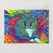 Carte postale Poméranie (Devant)