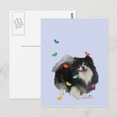 Carte Postale Poméranie avec Papillons (Devant / Derrière)