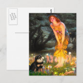 Carte Postale Poméranie (BT) - MidEve (Devant / Derrière)