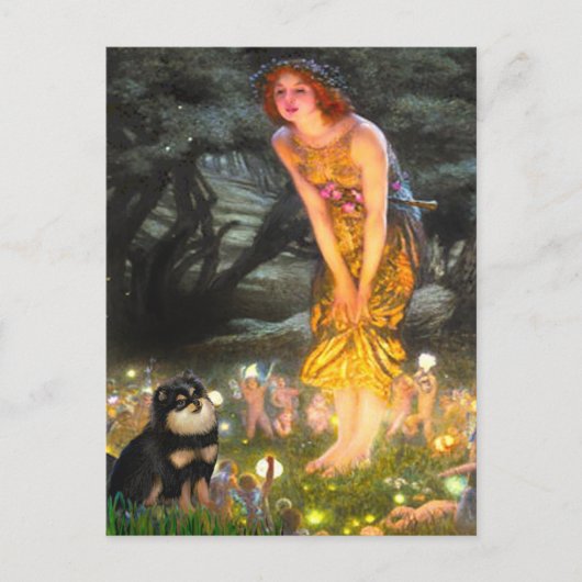 Carte Postale Poméranie (BT) - MidEve (Devant)