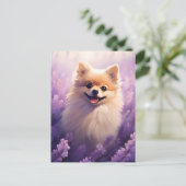 Carte Postale Poméranie dans le champ Lavender (Debout devant)