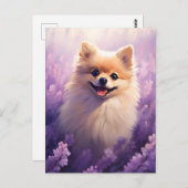 Carte Postale Poméranie dans le champ Lavender (Devant / Derrière)