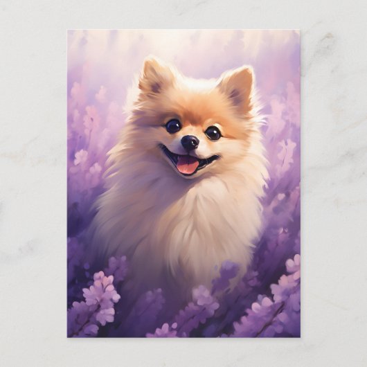 Carte Postale Poméranie dans le champ Lavender (Devant)