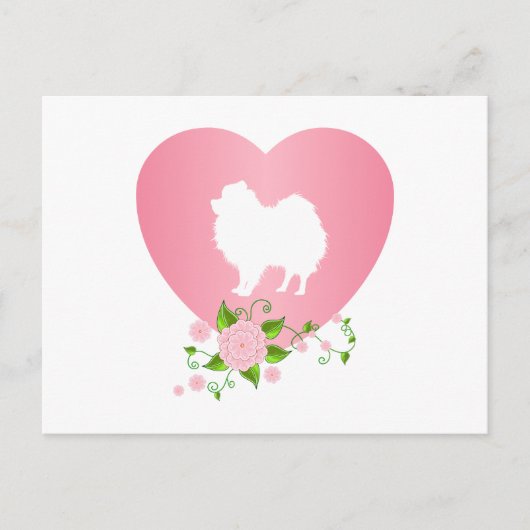 Carte Postale Poméranien (Devant)