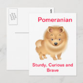 Carte Postale Poméranien (Devant / Derrière)
