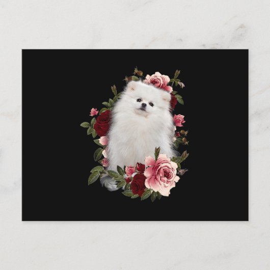 Carte Postale Poméranien avec fleur (Devant)
