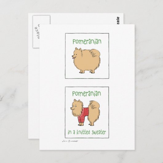 Carte Postale Poméranien dans un chandail nue (Devant / Derrière)